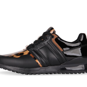 R230 Low Leo W